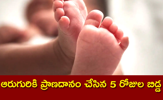 Surat-Newborn-Declared-Brain.jpg