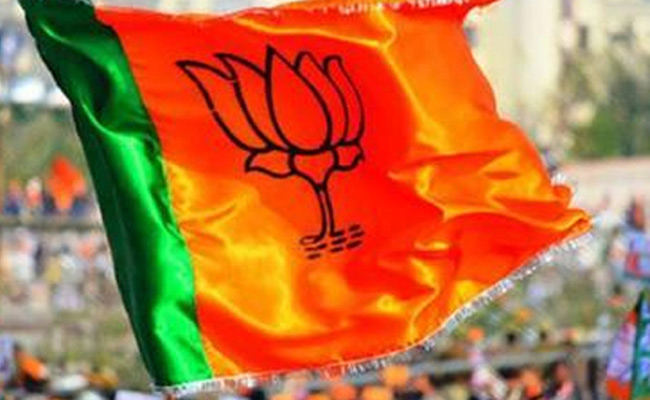 bjp-flag.jpg