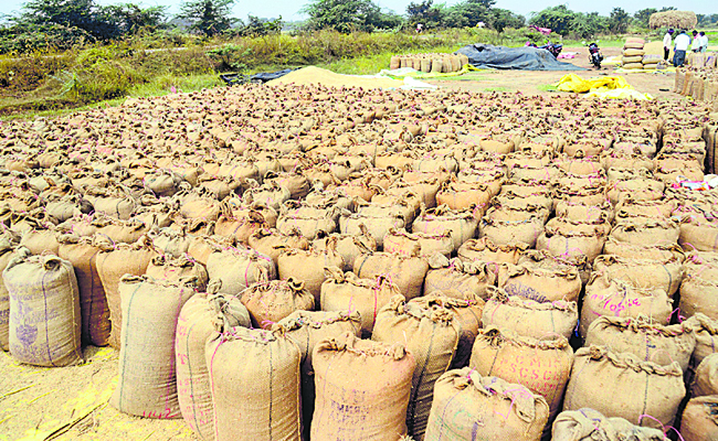 PADDY_20BAGS_2012.jpg