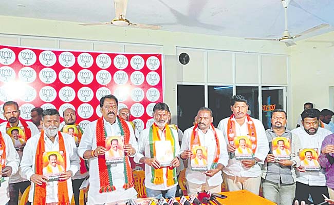 bjp_0.jpg