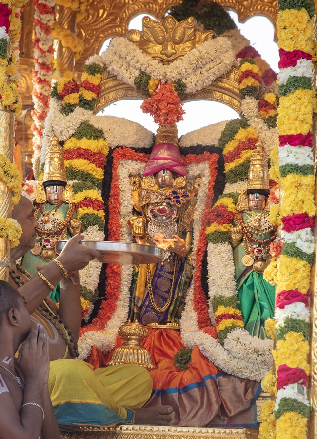 tirupathi-utsavam-23.jpg 23