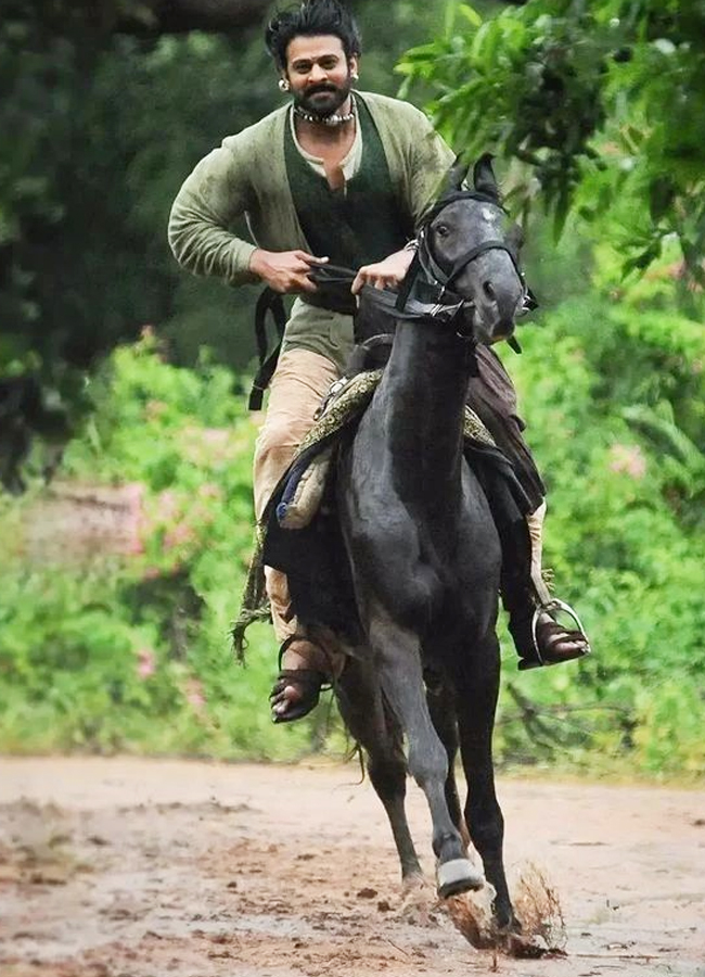 Prabhas-18.jpg 20