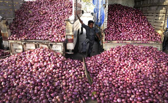 onion01.jpg