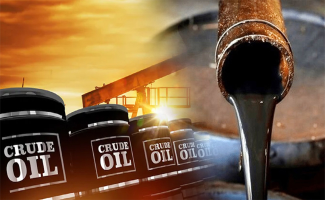oil01.jpg