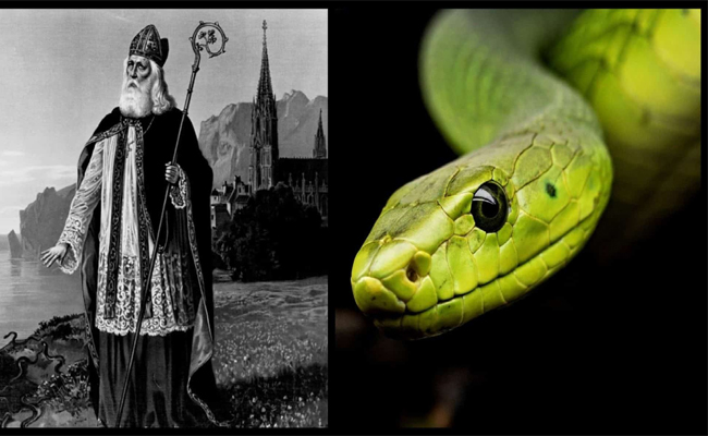 snake.jpg