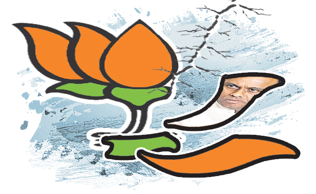 BJP-LEAFS.jpg