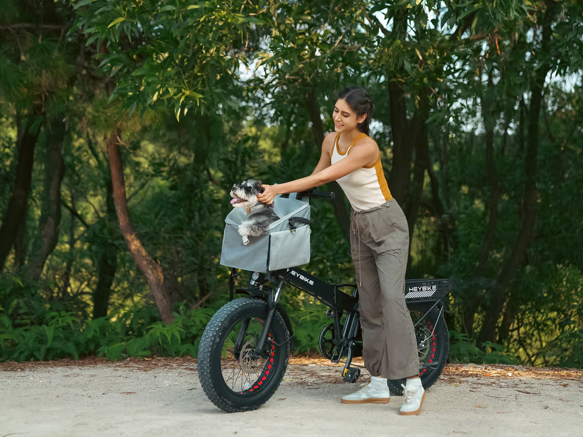 heybike-mars-2_7.jpg 8