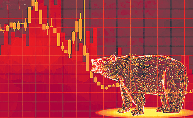 BEAR.jpg
