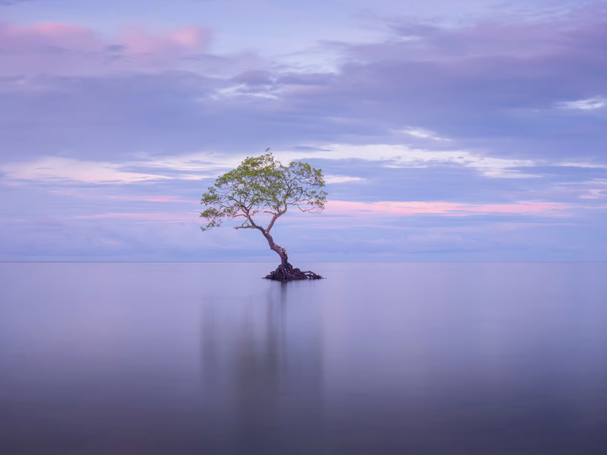 14.Aaron-ruy-g-musa-phillippines.jpg 14