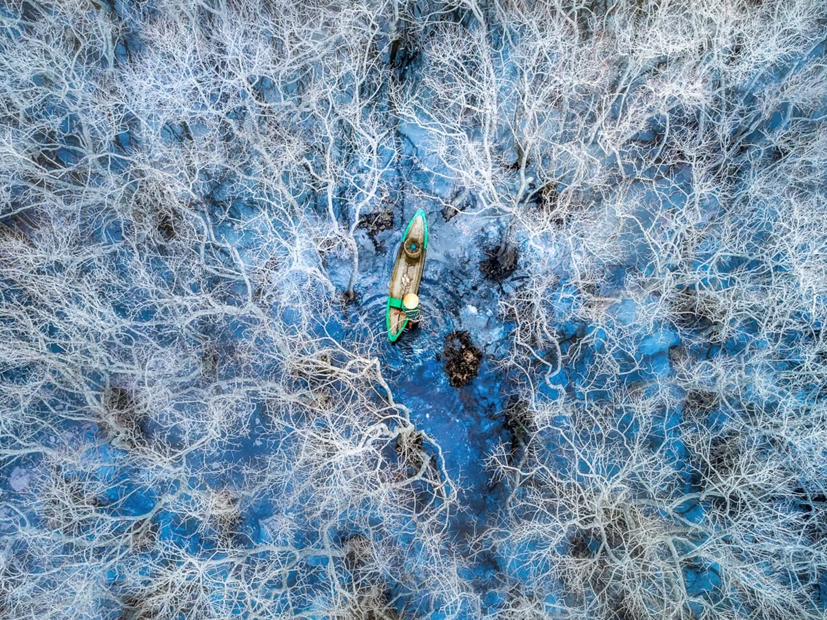 2._20Mangroves-and-People-vietnam.jpg 2