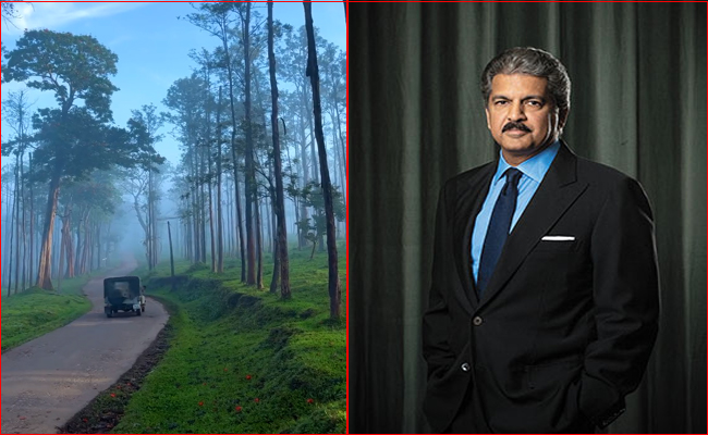 anand-mahindra-friday-feeling.jpg