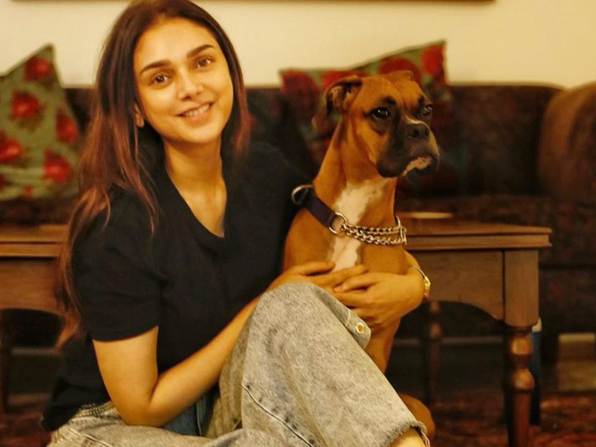 Aditi-Rao-Hydari-38.jpg 37