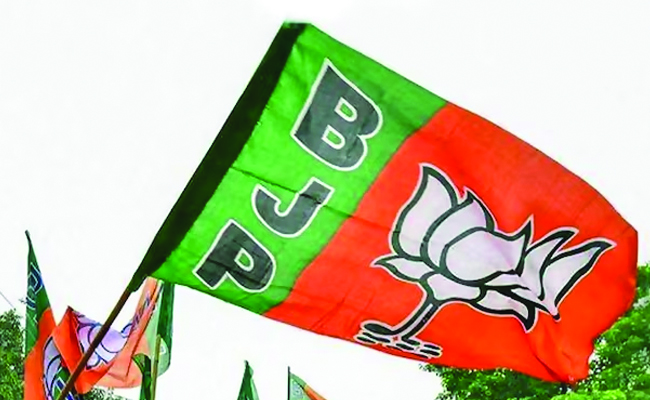 bjp222.jpg