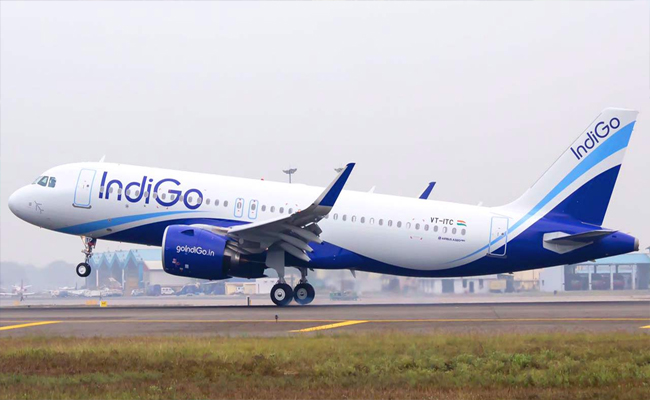 indigo01.jpg