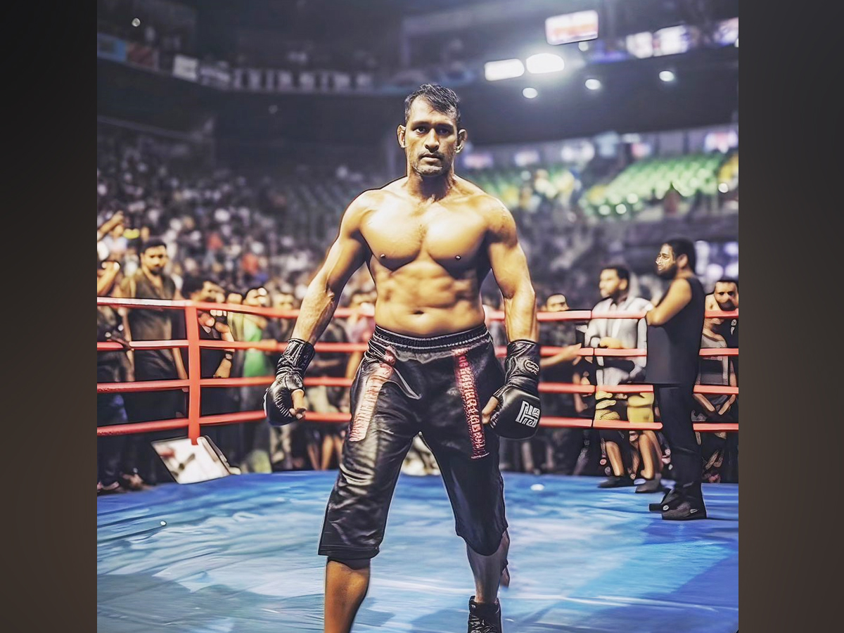 3._20Boxer.jpg 4