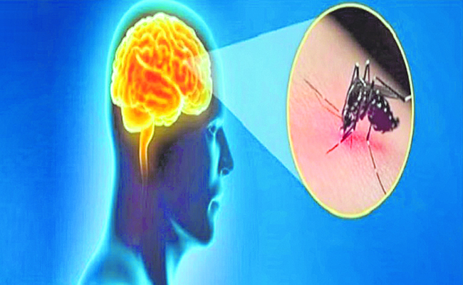 DENGUE_20ENCEPHAL.jpg
