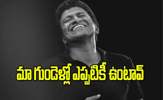 puneeth-rajkumar.jpeg