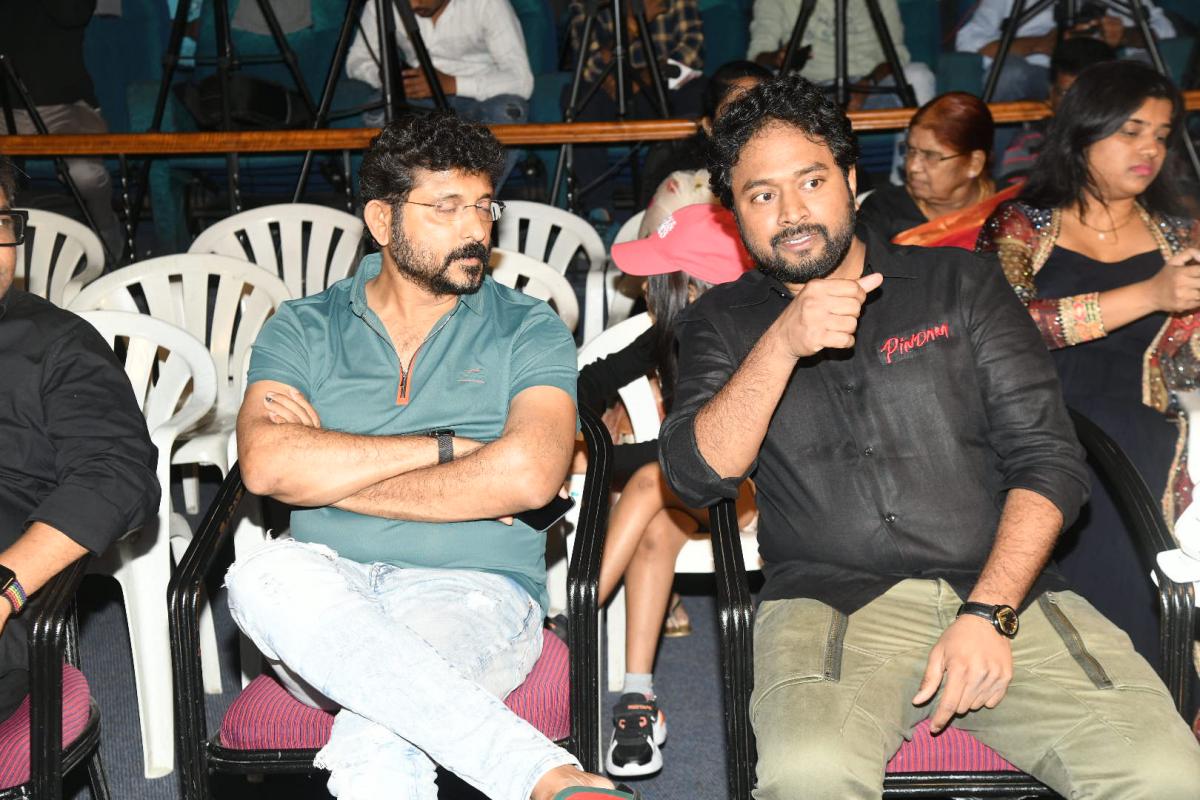 Pindam-Movie-Press-Meet-06.JPG 6