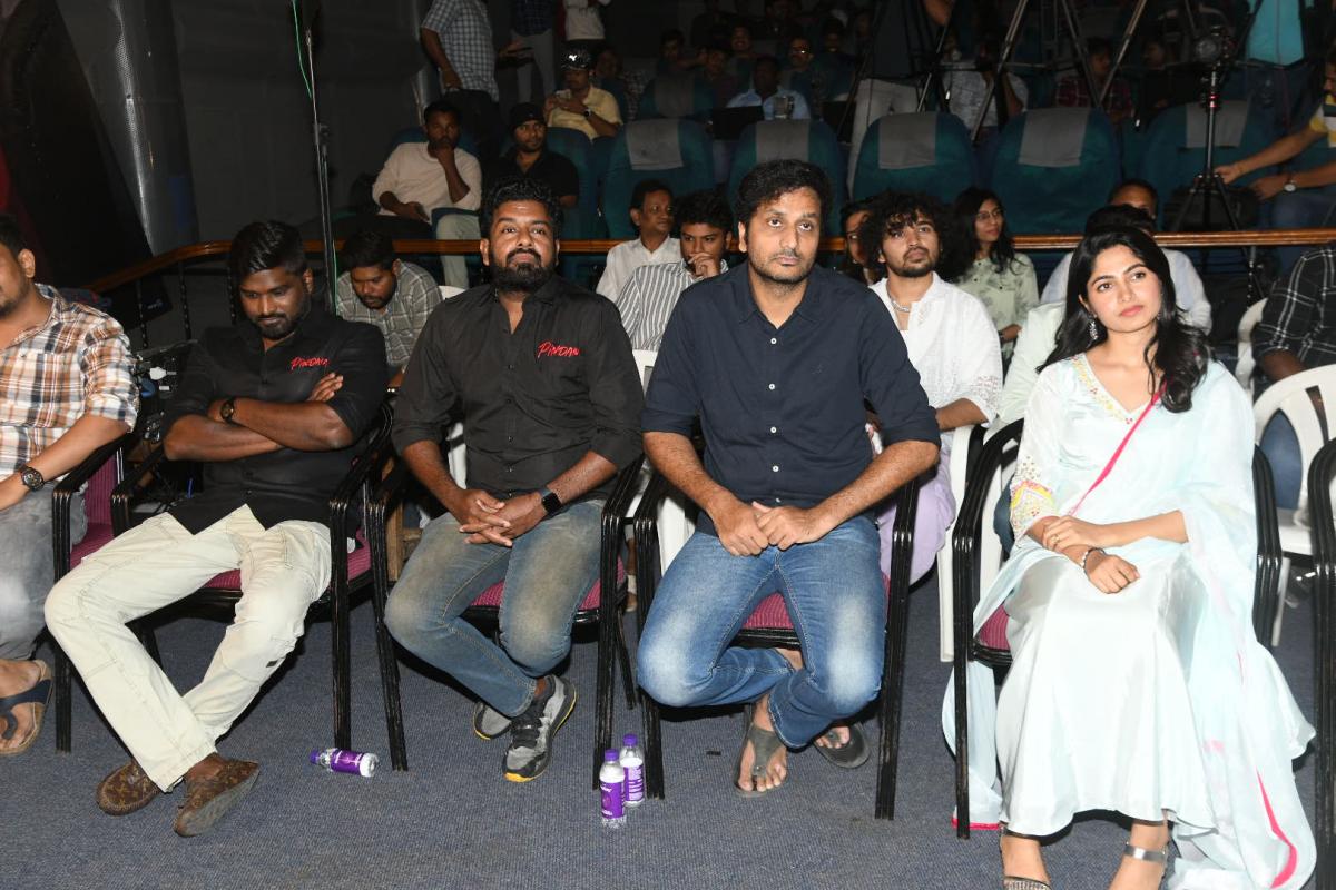 Pindam-Movie-Press-Meet-11.JPG 11