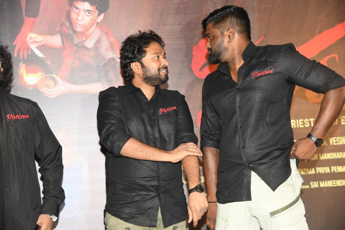 Pindam-Movie-Press-Meet-12.JPG 12