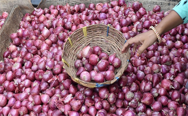 onion.jpg