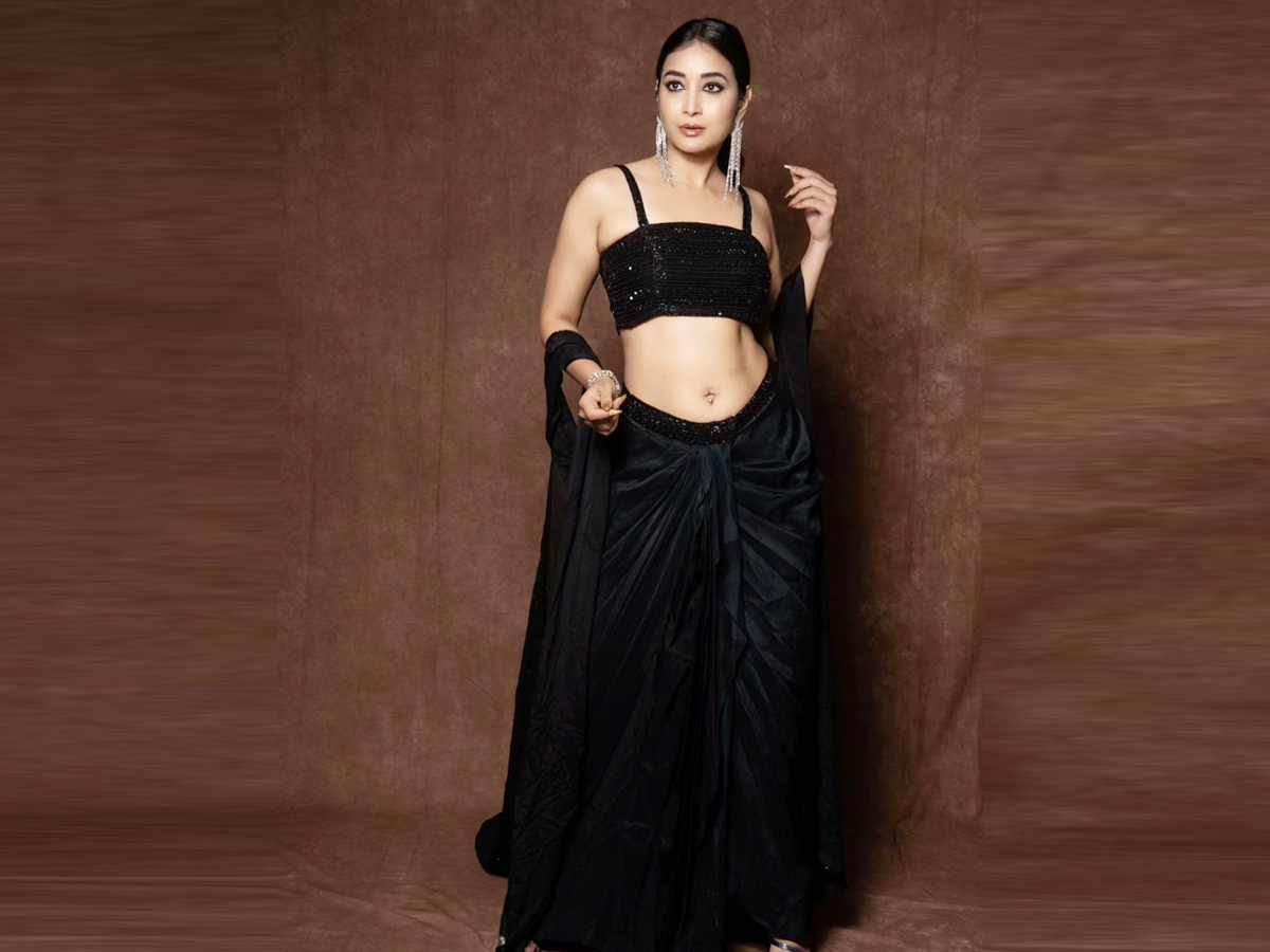 Bhanusri-8.jpg 10