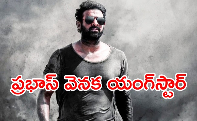 prabhas-vasista.jpeg