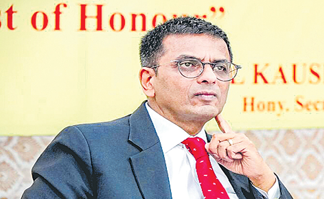 CJI.jpg