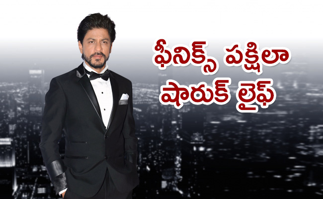 Shah-Rukh-Khan-58th-Birthday-Special-Story.jpg