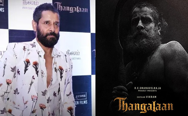 vik.jpg