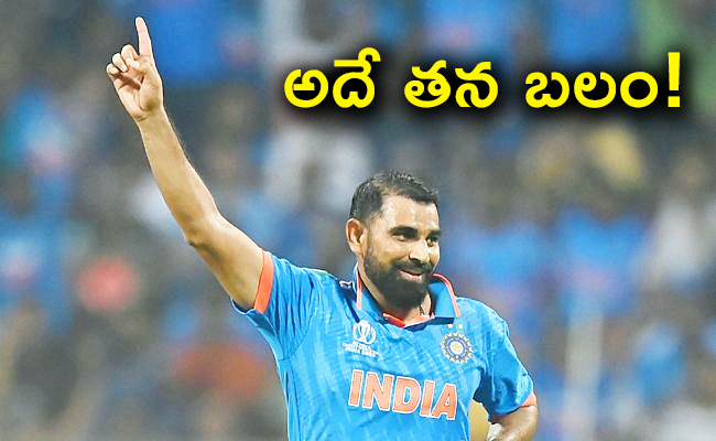 Mohammed-Shami-01.jpg