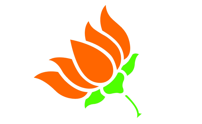 bjp_0.jpg