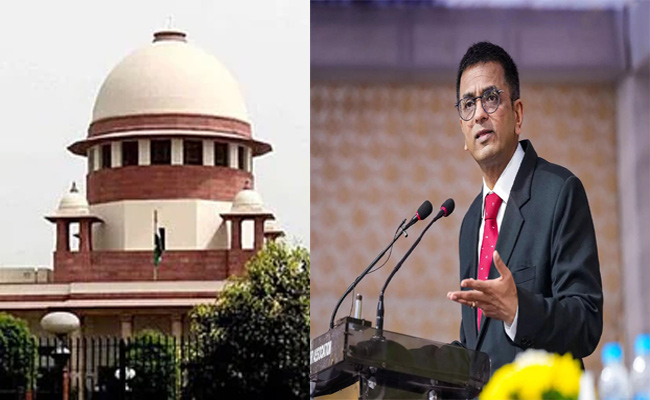 sc-cji.jpg