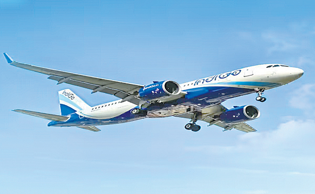 INDIGO.jpg