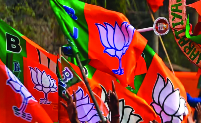 bjp222.jpg