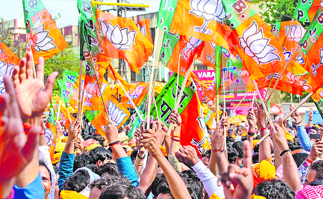 BJP_20FLAGS_202.jpg
