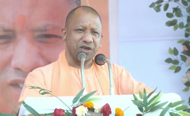 CM-Yogi.jpg