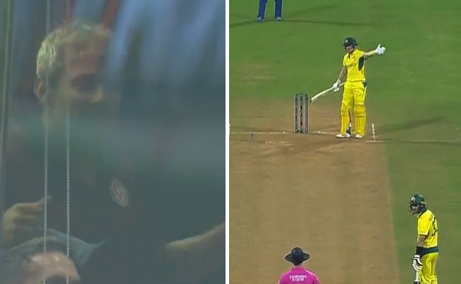 jadeja.jpg