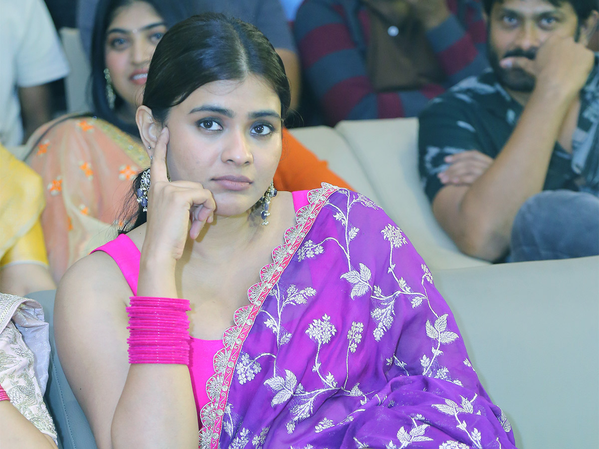 Ala_20Ninnu_20Cheri_20Pre_20Release_20Event_20LIVE-12.jpg 11