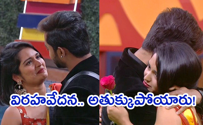 Bigg-Boss-7-Telugu-Day.jpg