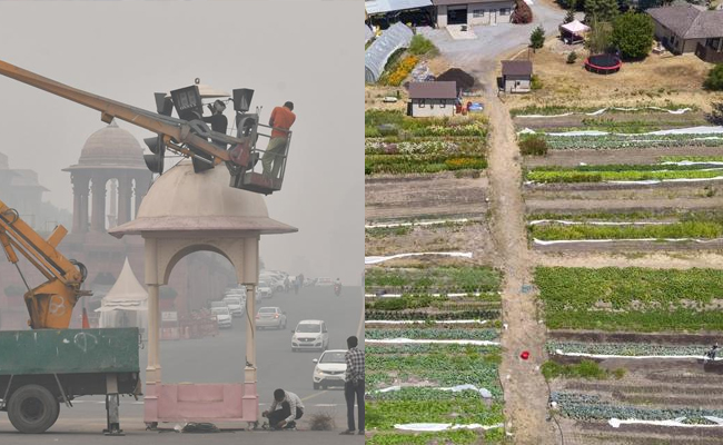 Delhi_Farming_Solution.jpg