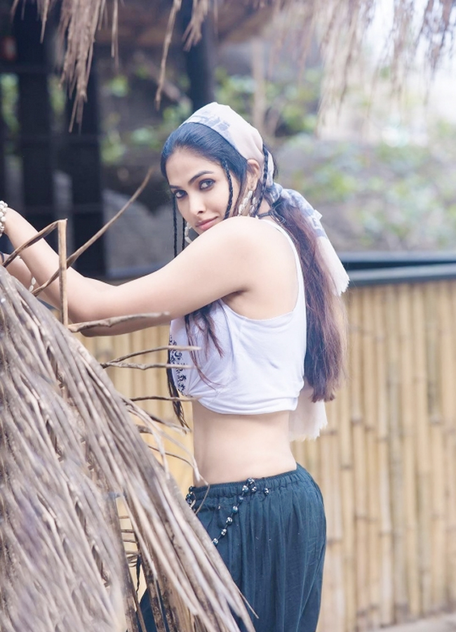 Divi-Vadthya-01.jpg 2