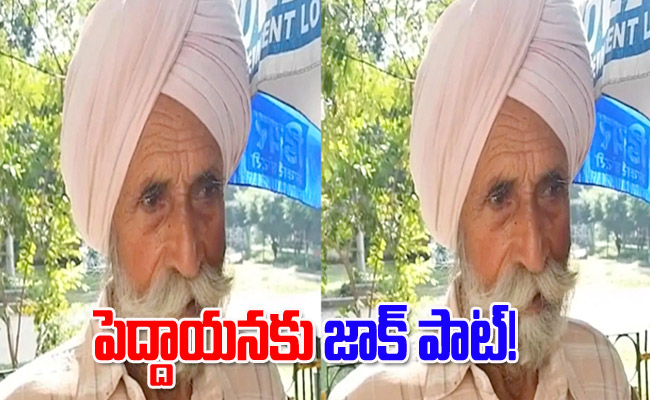 Punjab-farmer.jpg