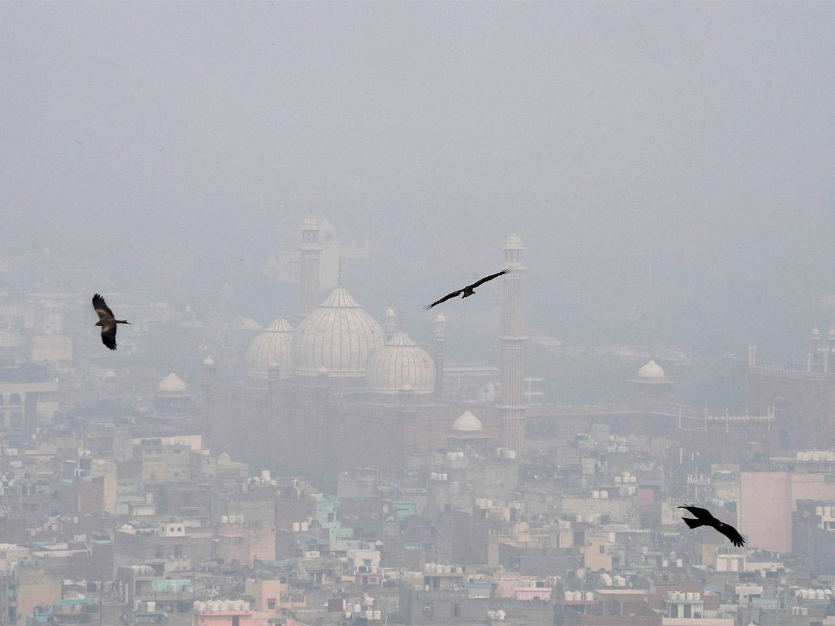 Delhi_20People_20Suffering_20Dangerous_20Air_20Pollution_20Photos-14.jpg 14