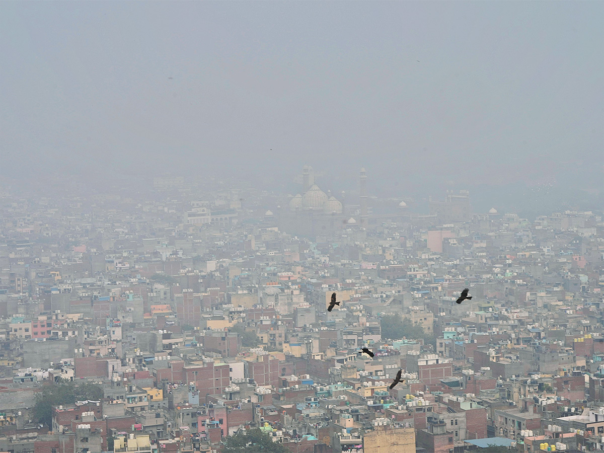 Delhi_20People_20Suffering_20Dangerous_20Air_20Pollution_20Photos-4.jpg 4