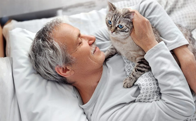 cats.jpg