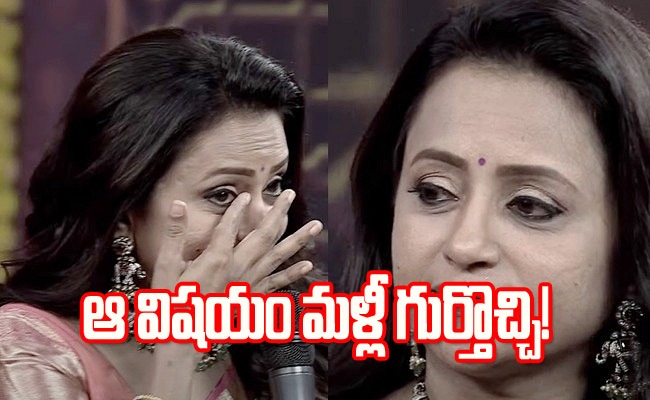 anchor-suma.jpg