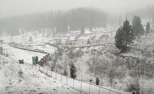 snow.jpg