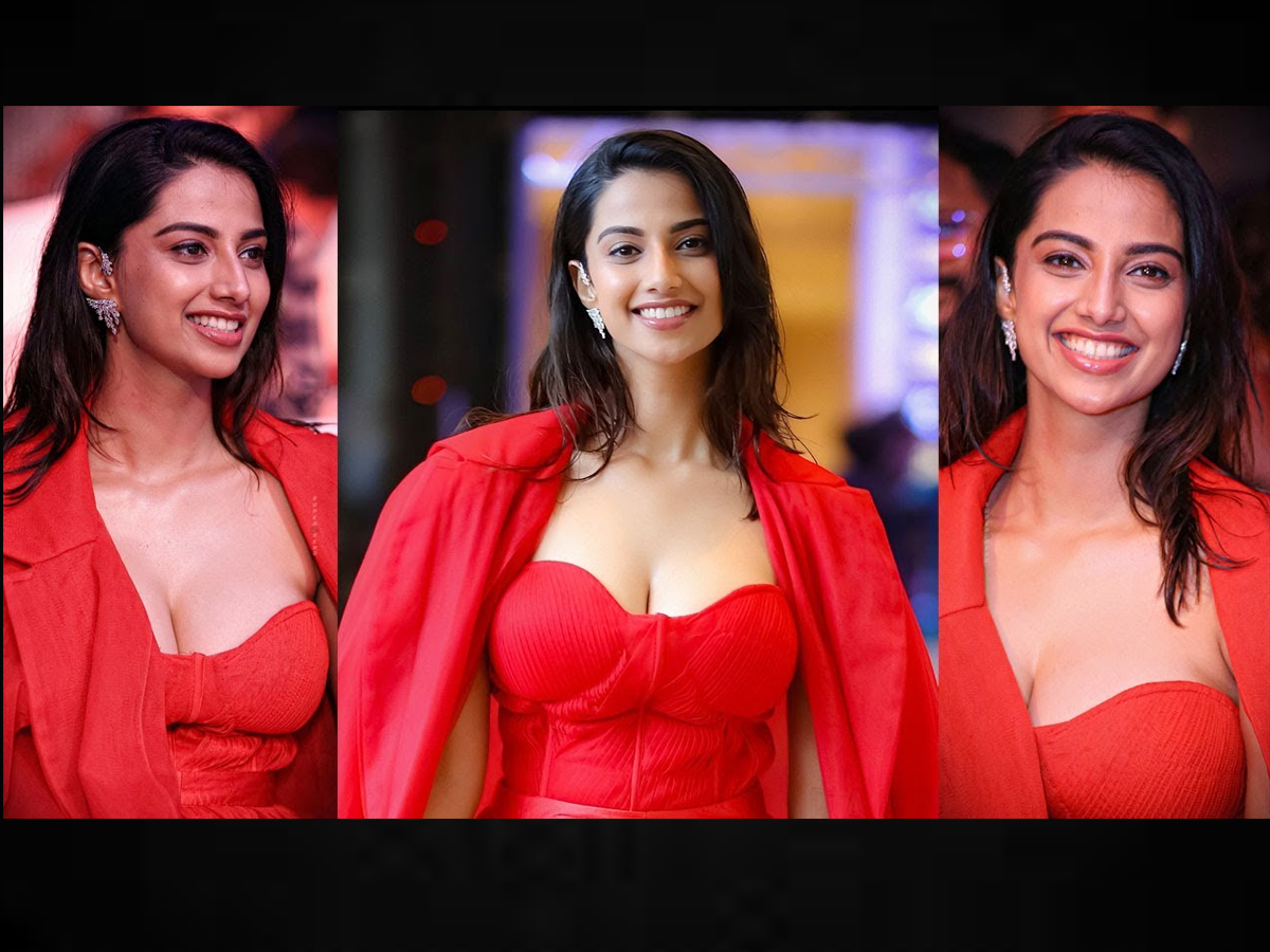 Meenakshi-Choudhary-viral-pics.jpg 1