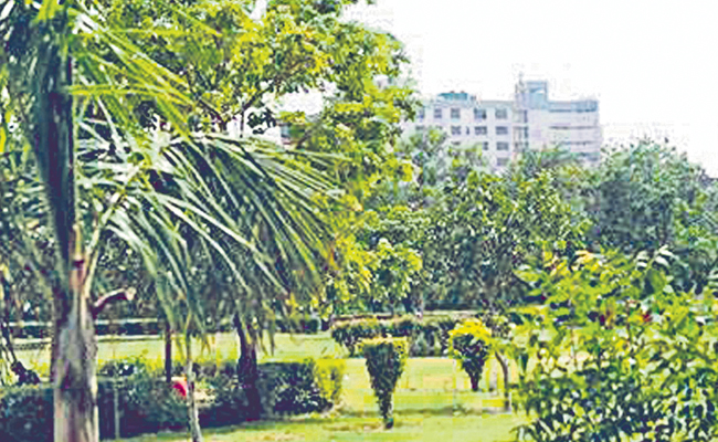 GREEN_20CITYS-0-.jpg